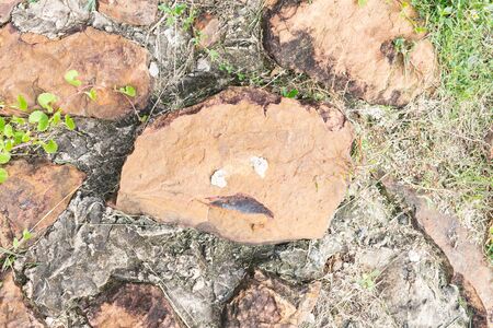 Stone texture pavement.の写真素材