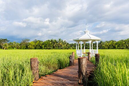 Wooden bridge surrounded by rice paddies heading to the white pavilion on the blue sky with many clouds.の写真素材
