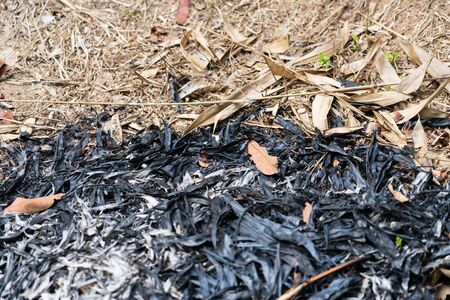Traces of burning leaves on the ground