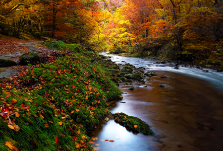 Autumn forest and river. Colorful foliage in the forest.