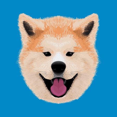 cute akita illustrationのイラスト素材