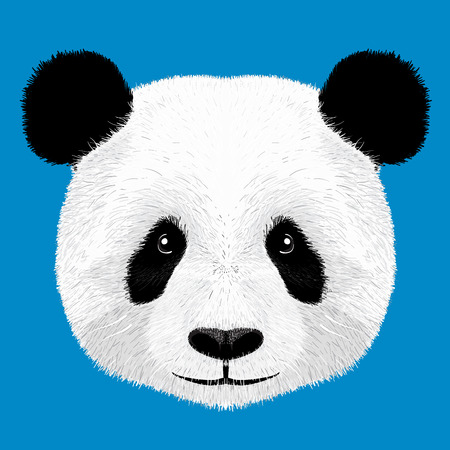 panda vector illustrationのイラスト素材