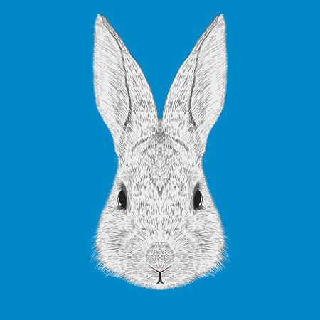 white rabbit illustration vectorのイラスト素材