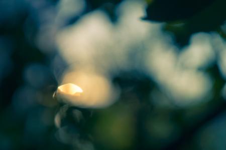 abstract green bokeh background sunsetの写真素材