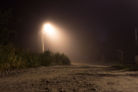 Foggy street lights misty with night deserted road and treesの写真素材