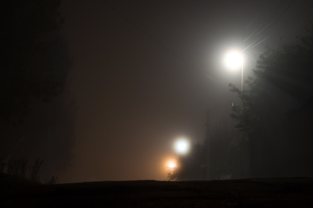 Foggy street lights misty with night deserted road and treesの写真素材