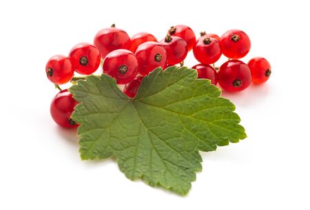 red currant with green leaves isolated on white backgroundの写真素材