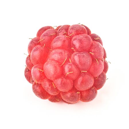 studio photo of raspberry isolated on white background