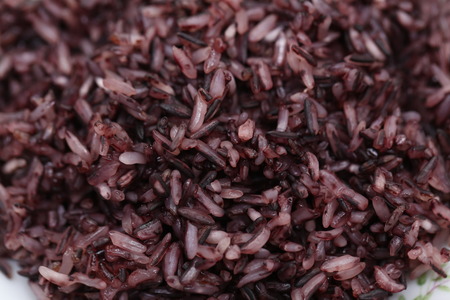 Purple riceの写真素材