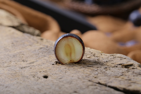 Yunnan black grape
