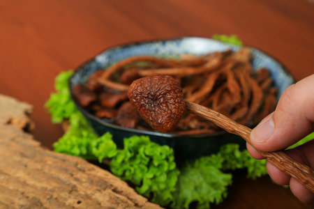 Agrocybe chaxingu on white backgroundの写真素材