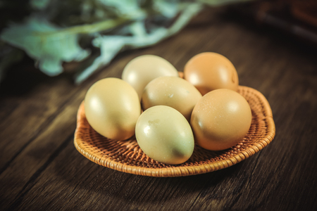 Wild eggの写真素材