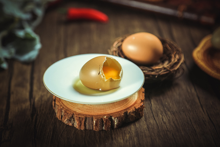 Wild eggの写真素材