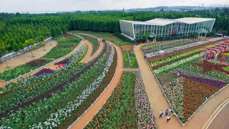 aerial view of Laoyuhe flower seaのeditorial素材