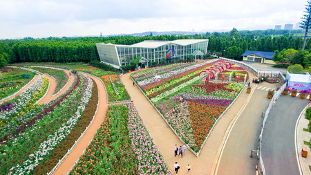 aerial view of Laoyuhe flower seaのeditorial素材