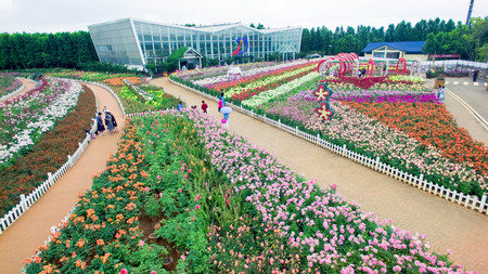 aerial view of Laoyuhe flower seaのeditorial素材