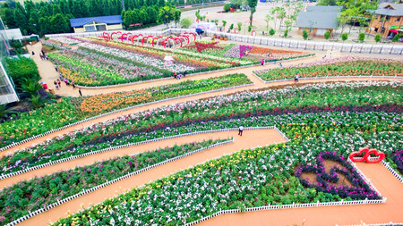 aerial view of Laoyuhe flower seaのeditorial素材