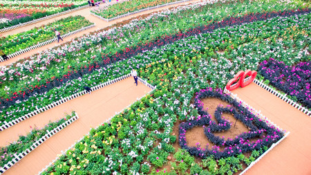aerial view of Laoyuhe flower seaのeditorial素材