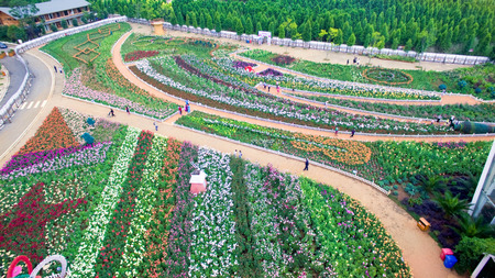 aerial view of Laoyuhe flower seaのeditorial素材