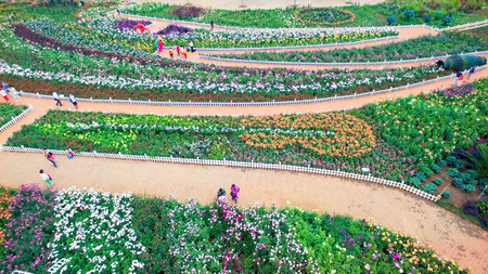 aerial view of Laoyuhe flower seaのeditorial素材