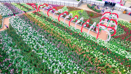 aerial view of Laoyuhe flower seaのeditorial素材