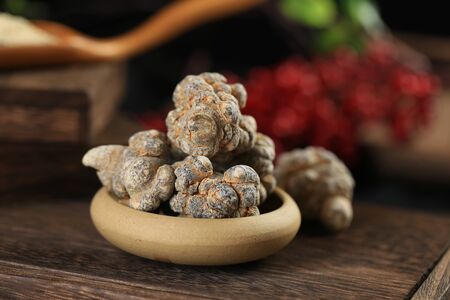 Panax notoginseng (Sanqi)の写真素材