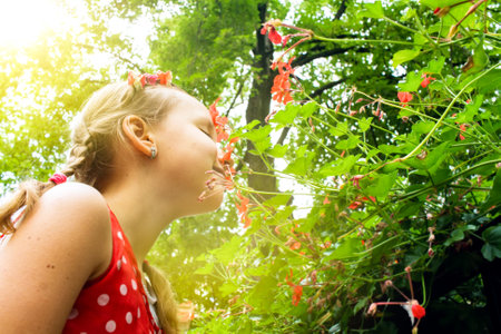 Little adorable girl smelling colorful flowers at summer day. to feel happiness. summer moodの写真素材