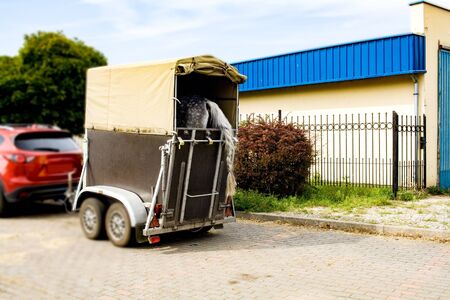 Funny horse transport. Carriage for horses on the high wayの写真素材