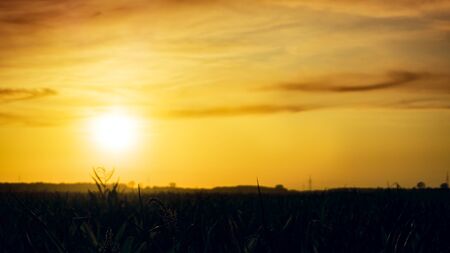 Orange glow of a sunset. Sunrise with huge rays. Beautifully summer landscape.