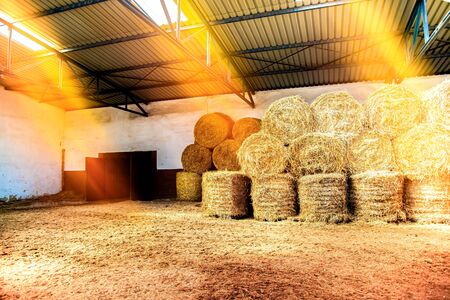 Bales of straw are folded in the stable. Animal feed. Prepare fodder for winter