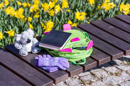 Book and a baby backpack with a soft toy on the shop