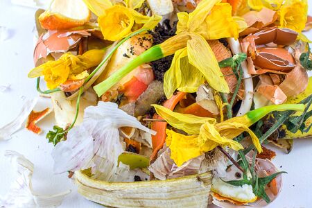 Organic waste. Compost Environment Symbol. Food waste isolated concept.の写真素材