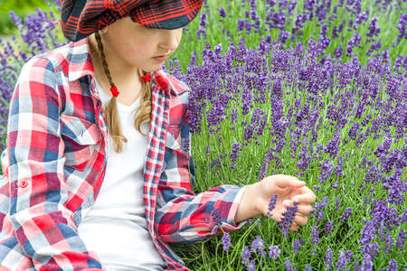 a girl with pigtails in a lavender garden dreams. breathe the flavor of Lavenderの写真素材