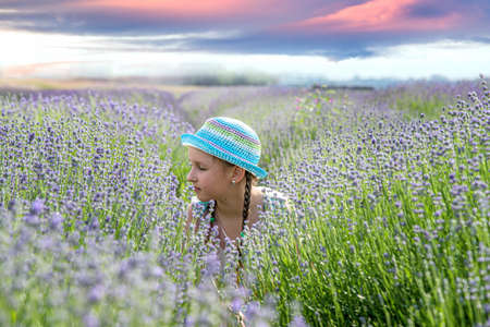 a girl with pigtails in a lavender garden dreams. breathe the flavor of Lavenderの写真素材
