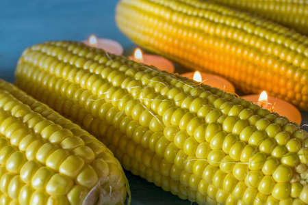 fresh corn on the table, cooking, protein diet,の写真素材