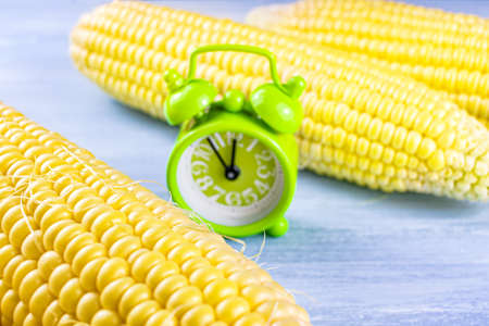 Fresh corn on the table, cooking