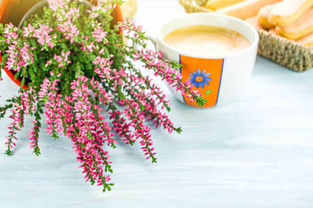 morning coffee with cookies on the city balconyの写真素材