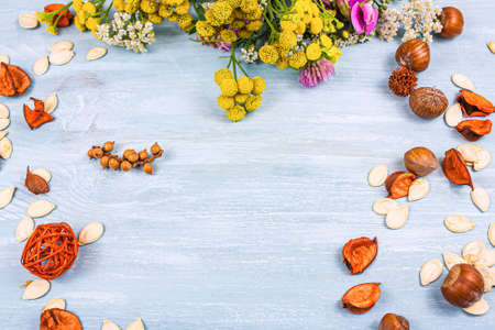 autumn background, on the table nut, flowers and pumpkin seed