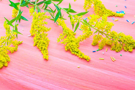 branch of yellow field flowers on a wooden background
