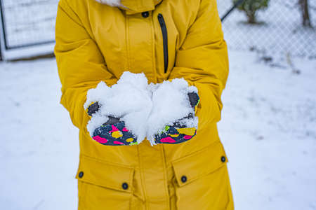 Hands in gloves hold snow. background of winter clothingの写真素材