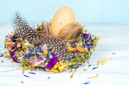 happy Easter, different color egg in the nest