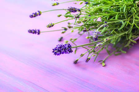 Lavender flowers on a beautiful backgroundの写真素材
