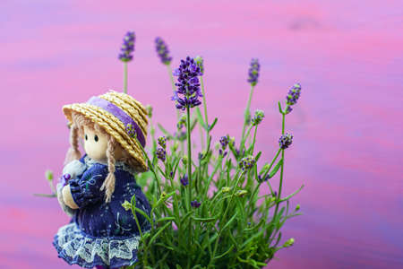 background of lavender flowers and doll in hatの写真素材