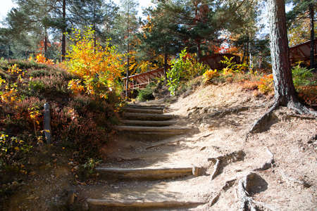 stairs in the park, hiking on an autumn day