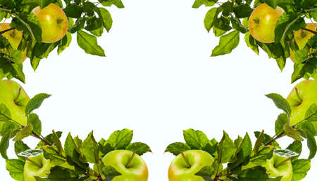 Red and green apples on the tableの写真素材