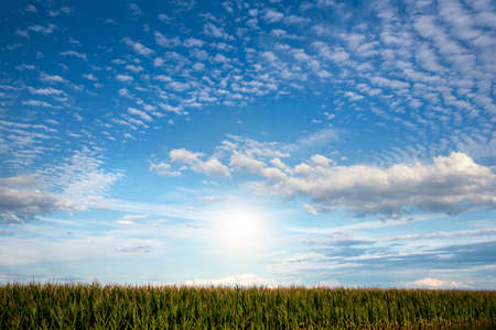 Background sky and clouds. Nature at sunriseの写真素材