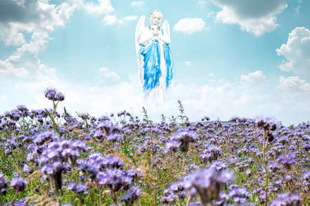 Winged Angel in Heaven, Background of Religionの写真素材