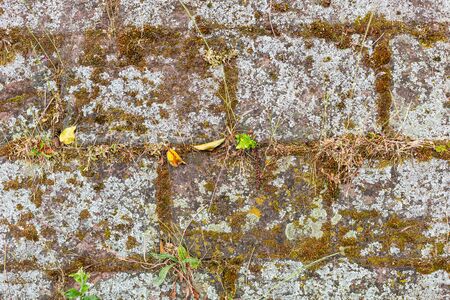 Old stone wall. Granite Wall. Moss-covered stones. Ruins in the city. Remains of a historic building.の写真素材