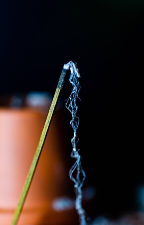 Burnt Incense. Ash and stick. Meditation at home. Ash after incense. Photo on a black background.の写真素材