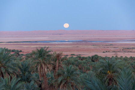 lying moon on Saharaの写真素材